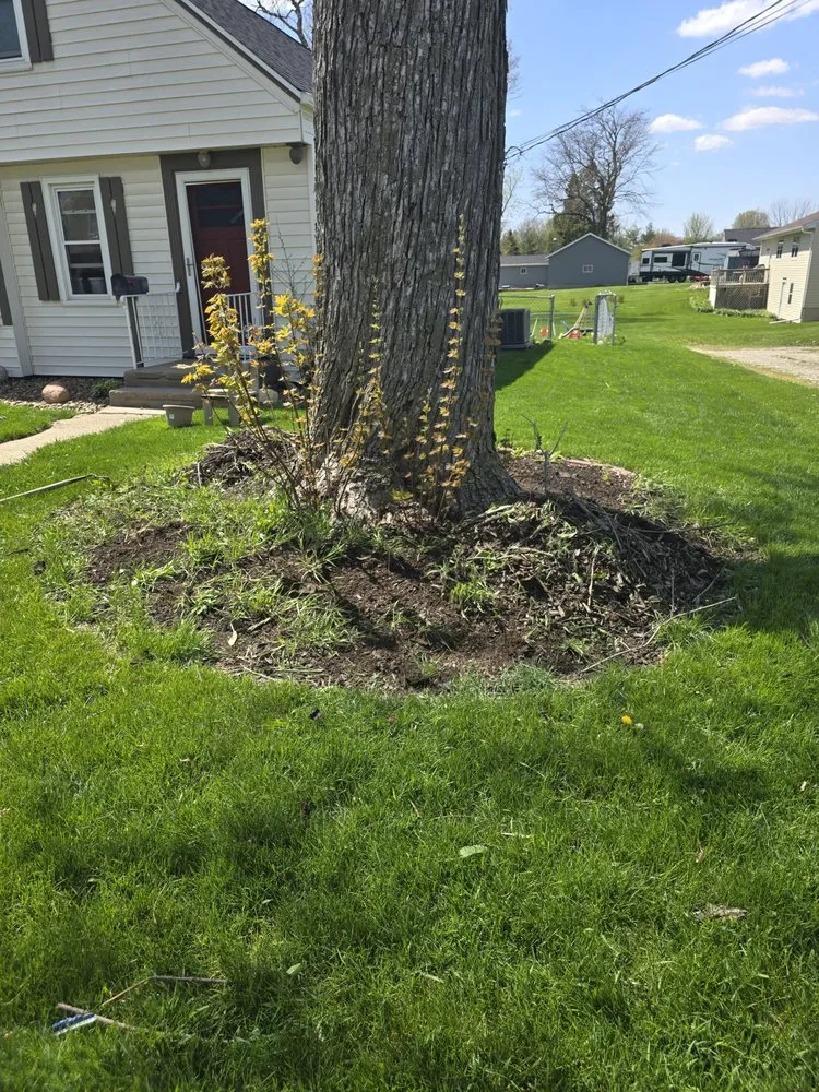Trusted yard cleanup service experts serving Altoona, IA - Meerkats Landscaping
