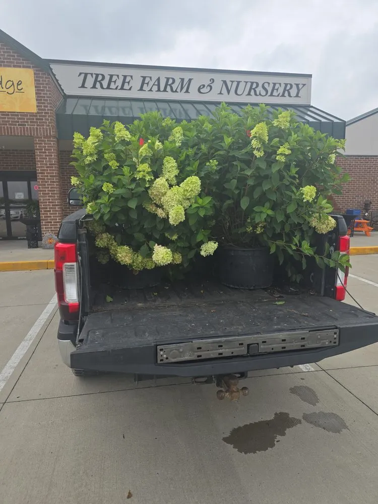 Expert landscaping services for residential properties across Altoona, IA - Meerkats Landscaping