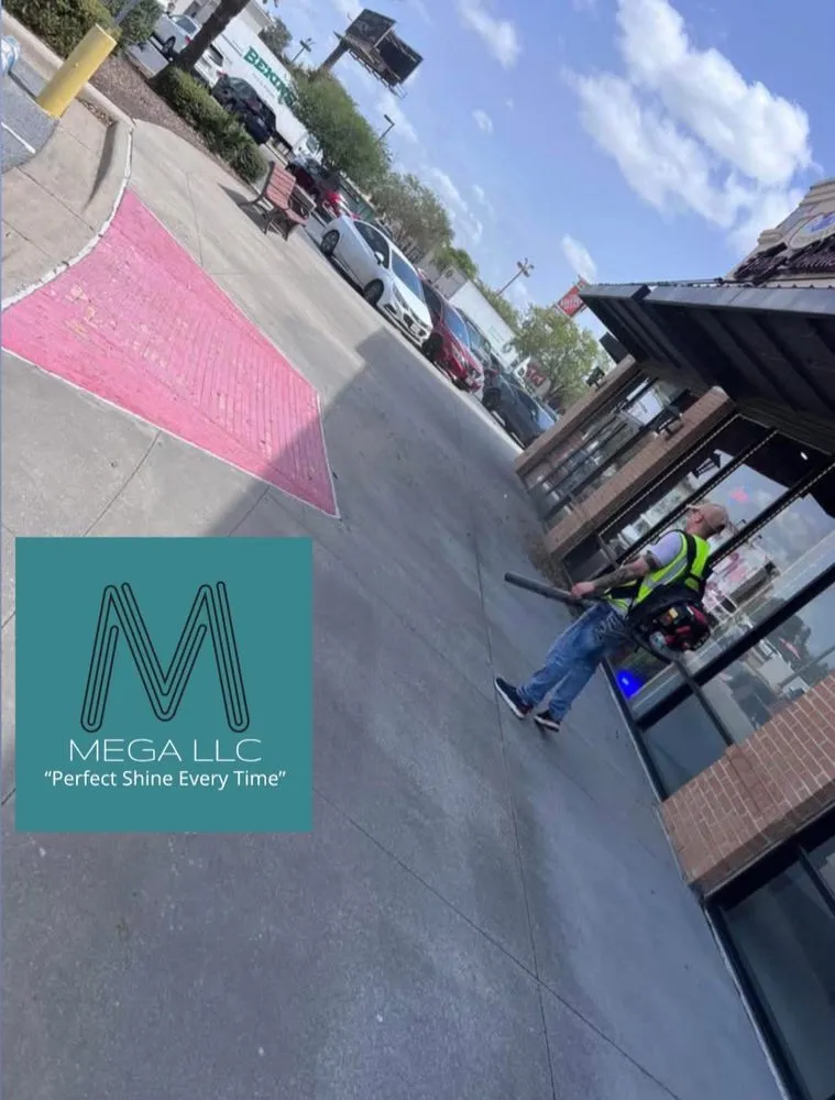 Professional outdoor landscaping with custom design in Brownsville, TX by Mega