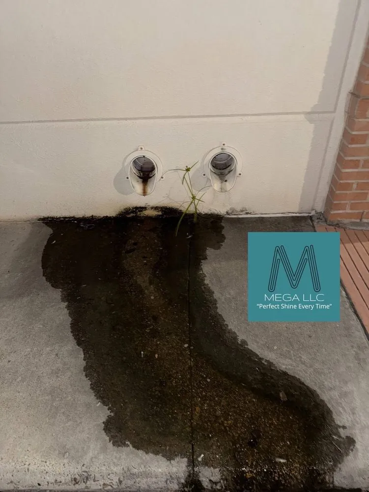 Local yard maintenance in Brownsville, TX by Mega