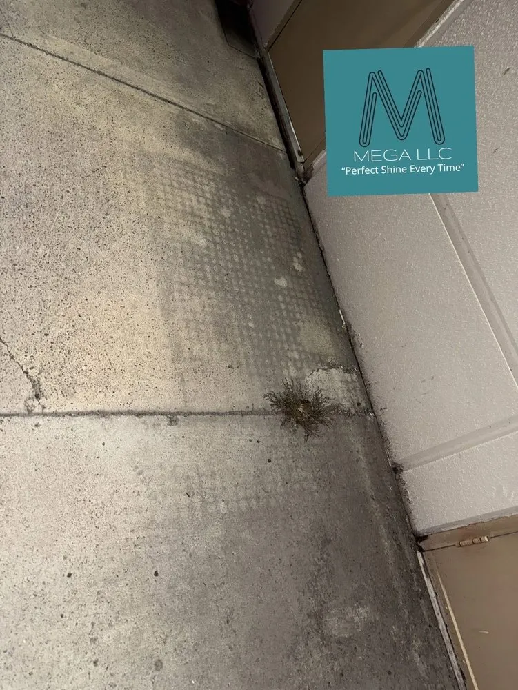 Local garden landscaping experts serving Brownsville, TX - Mega