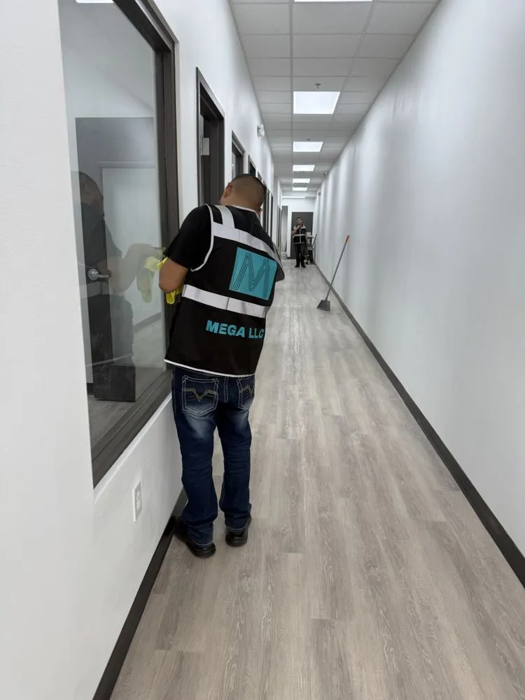 Professional outdoor landscaping in Brownsville, TX by Mega