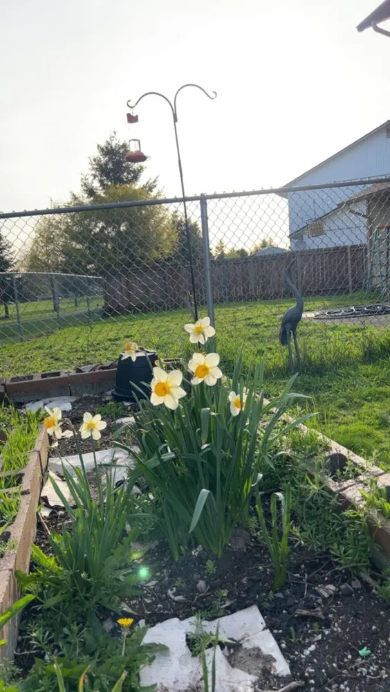 Expert landscape installation in Vancouver, WA by Mega mowing