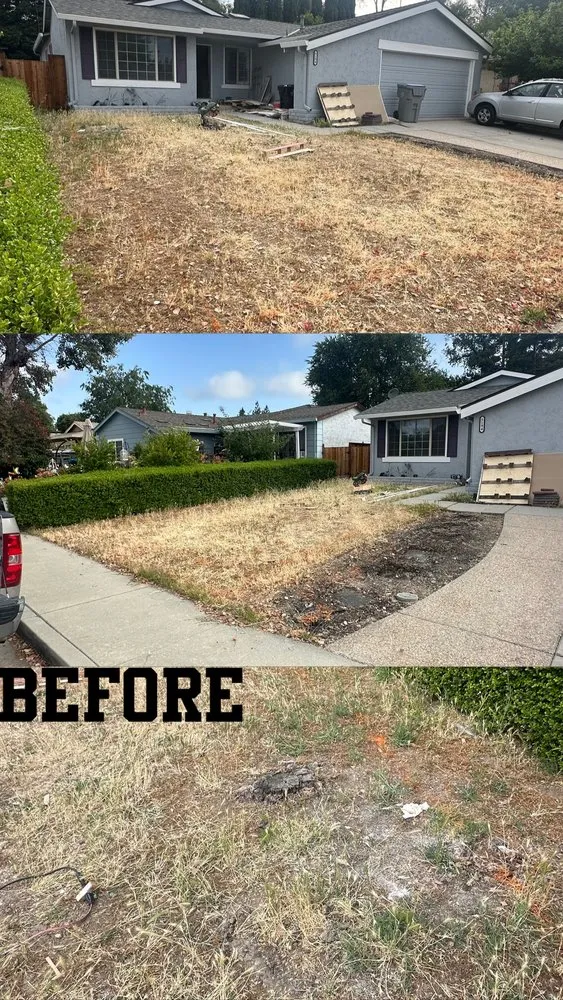 Affordable landscape installation in San Pablo, CA by Mega Services
