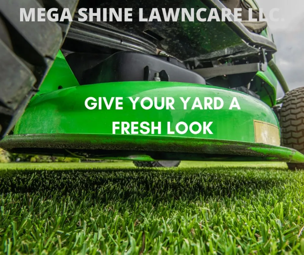 Trusted yard cleanup service experts serving East St. Louis, IL - Mega Shine Lawn Care