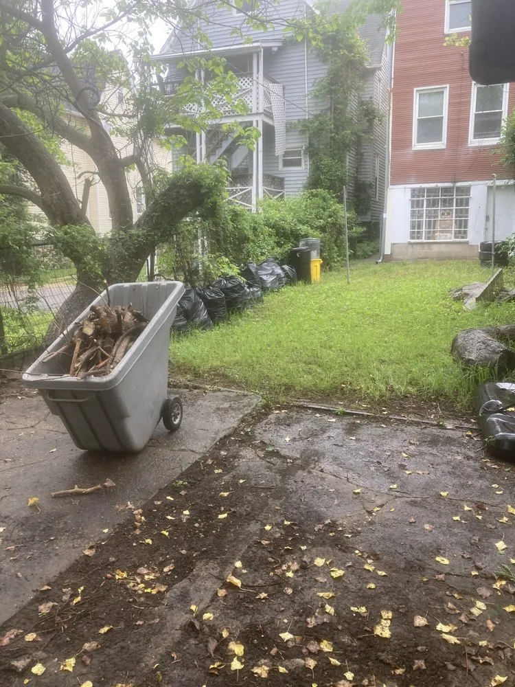 Trusted garden landscaping in Bel Air, MD - Megamoe services