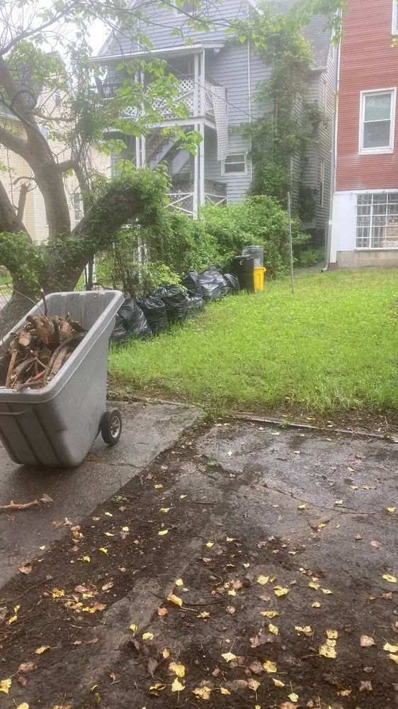 Expert yard maintenance in Bel Air, MD by Megamoe services