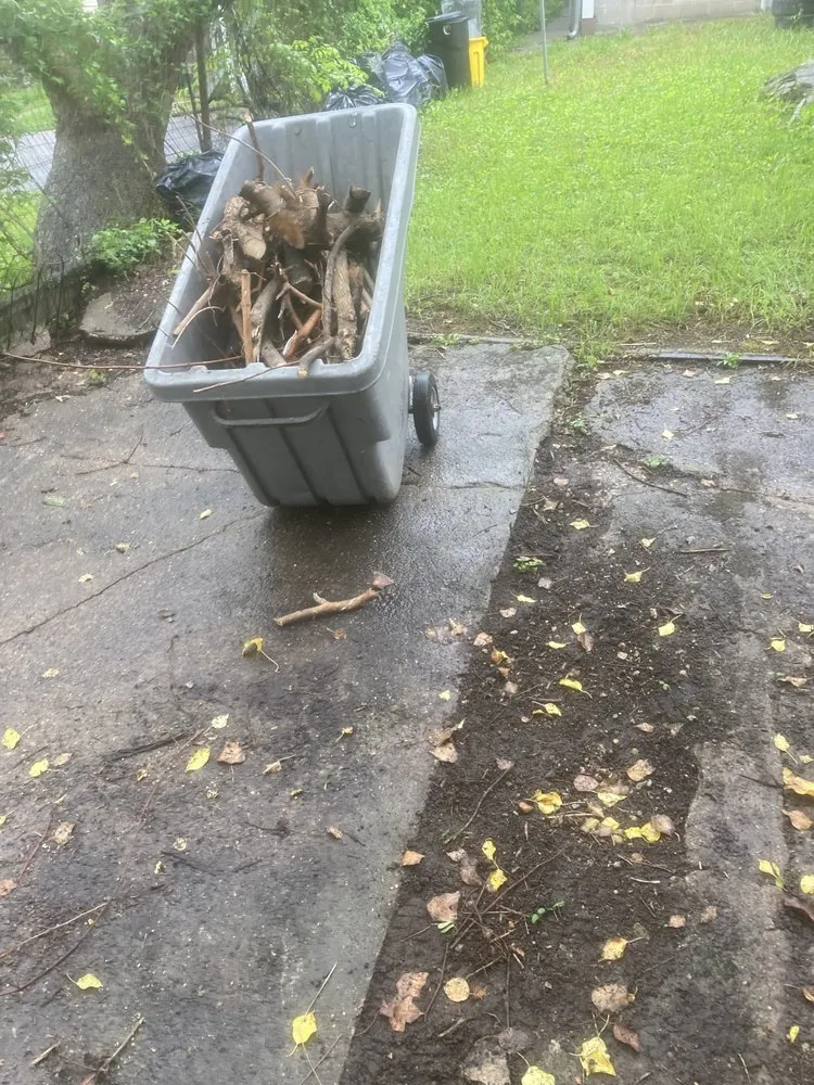 Custom landscape installation in Bel Air, MD by Megamoe services