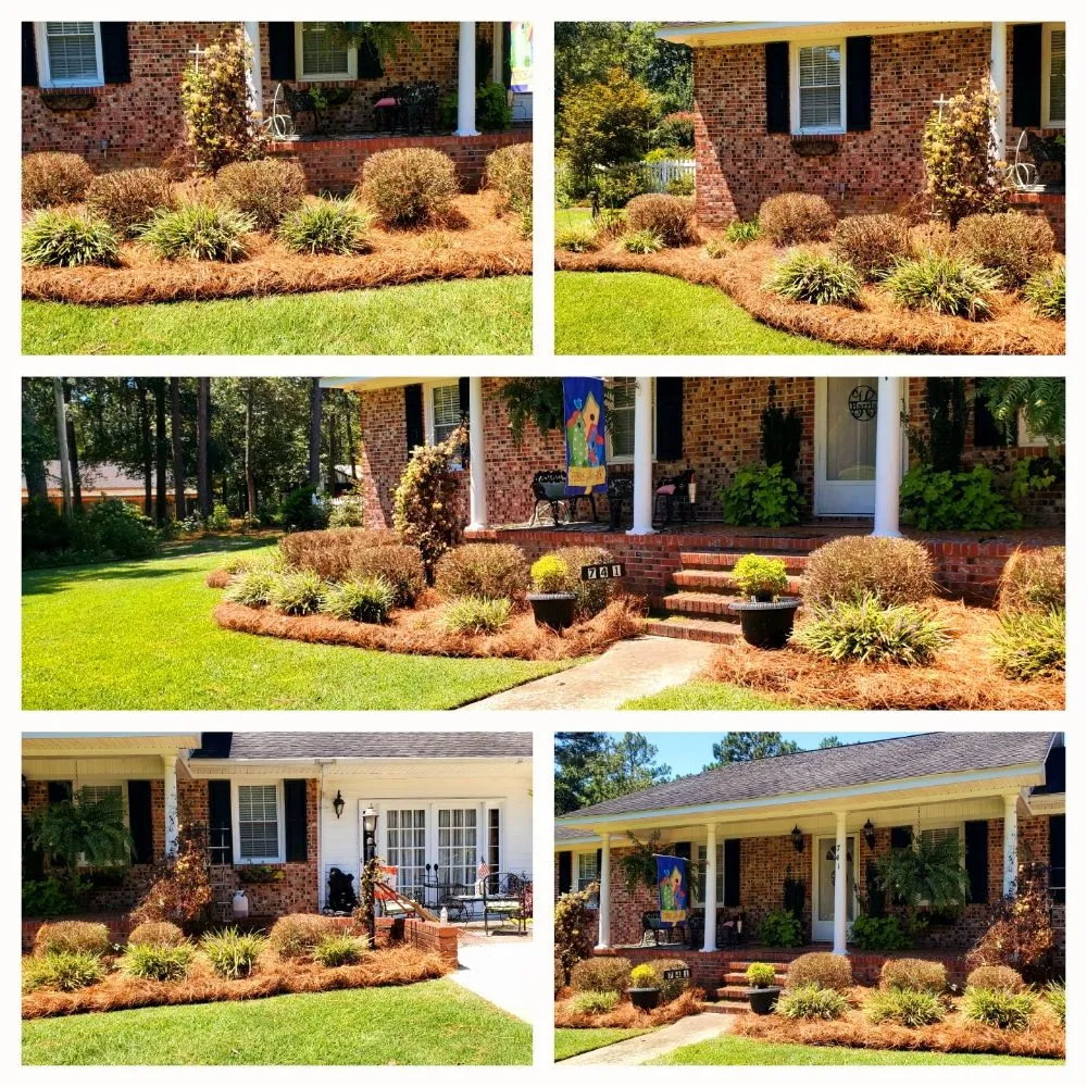 Affordable lawn care service in Camden, SC by Megan's Landscaping & Pest Control