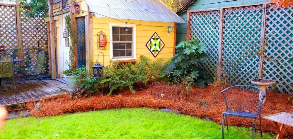 Professional yard maintenance for year-round maintenance across Camden, SC - Megan's Landscaping & Pest Control