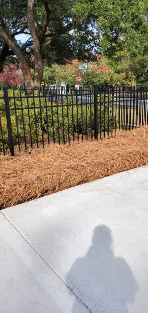 Professional lawn care service experts serving Camden, SC - Megan's Landscaping & Pest Control