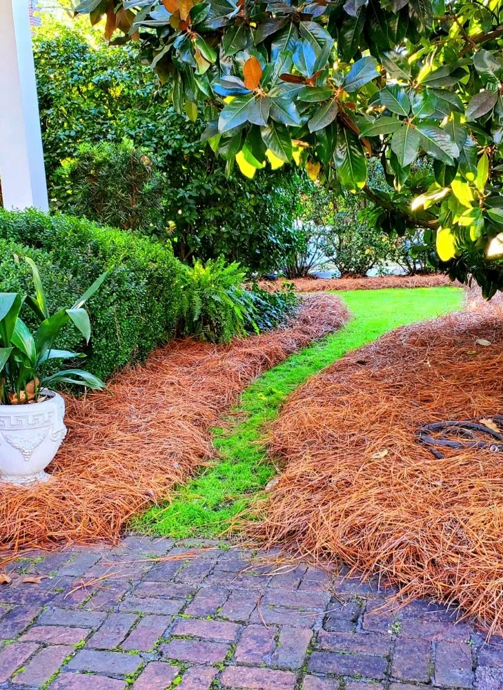 Custom residential landscaping in Camden, SC by Megan's Landscaping & Pest Control