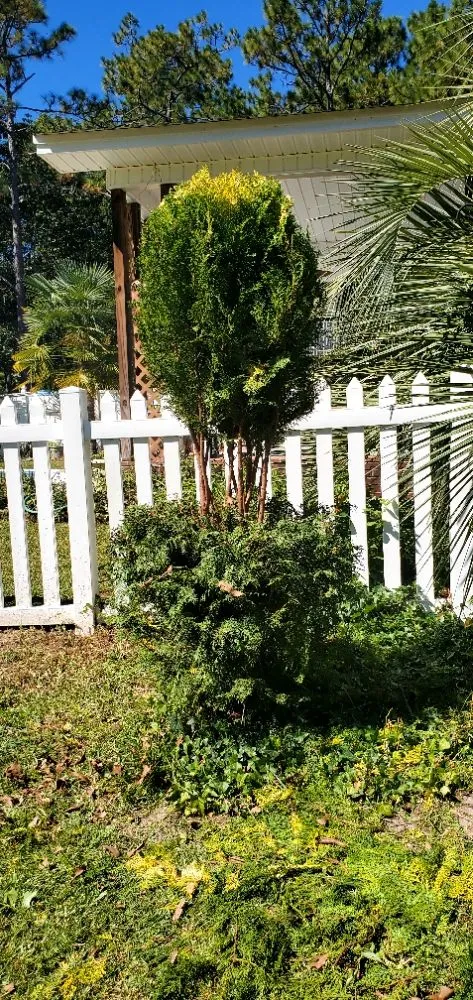 Reliable yard maintenance in Camden, SC by Megan's Landscaping & Pest Control