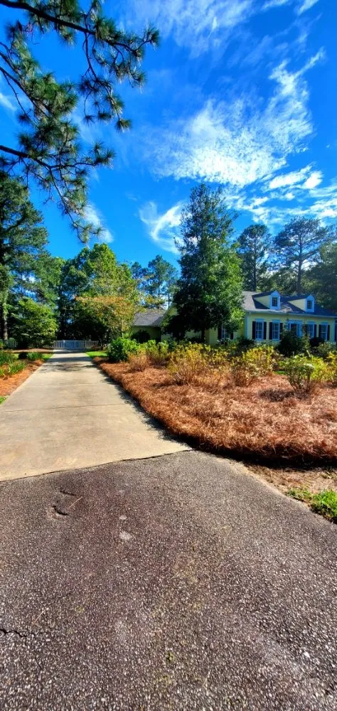 Trusted outdoor landscaping for beautiful yards across Camden, SC - Megan's Landscaping & Pest Control
