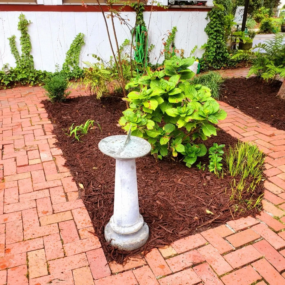 Reliable residential landscaping experts serving Camden, SC - Megan's Landscaping & Pest Control