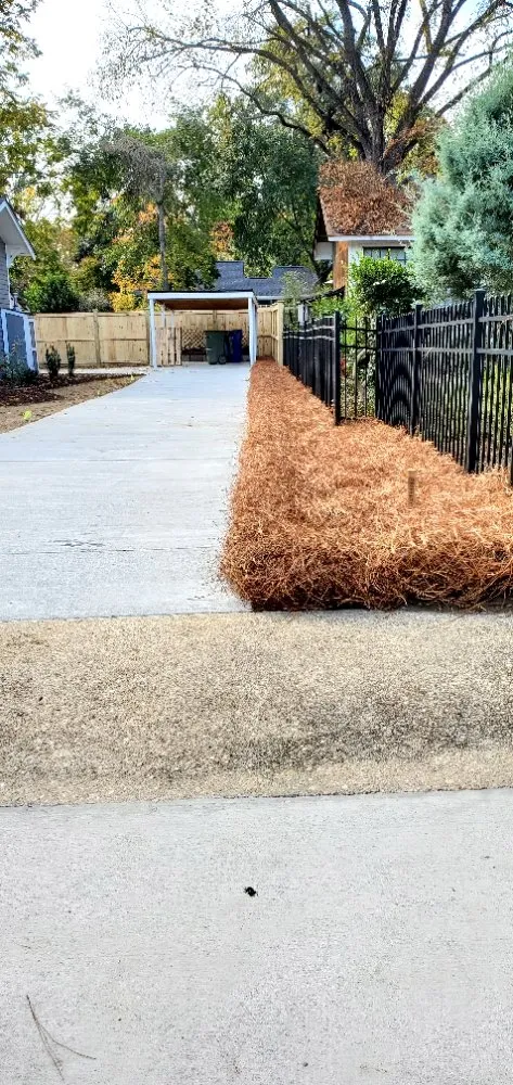 Affordable garden landscaping for residential properties in Camden, SC by Megan's Landscaping & Pest Control