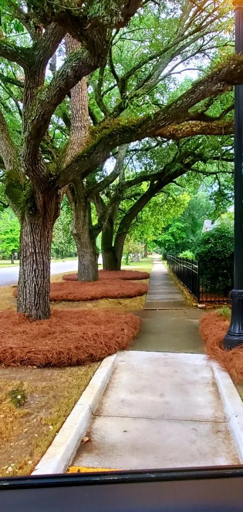 Local lawn mowing service near you across Camden, SC - Megan's Landscaping & Pest Control