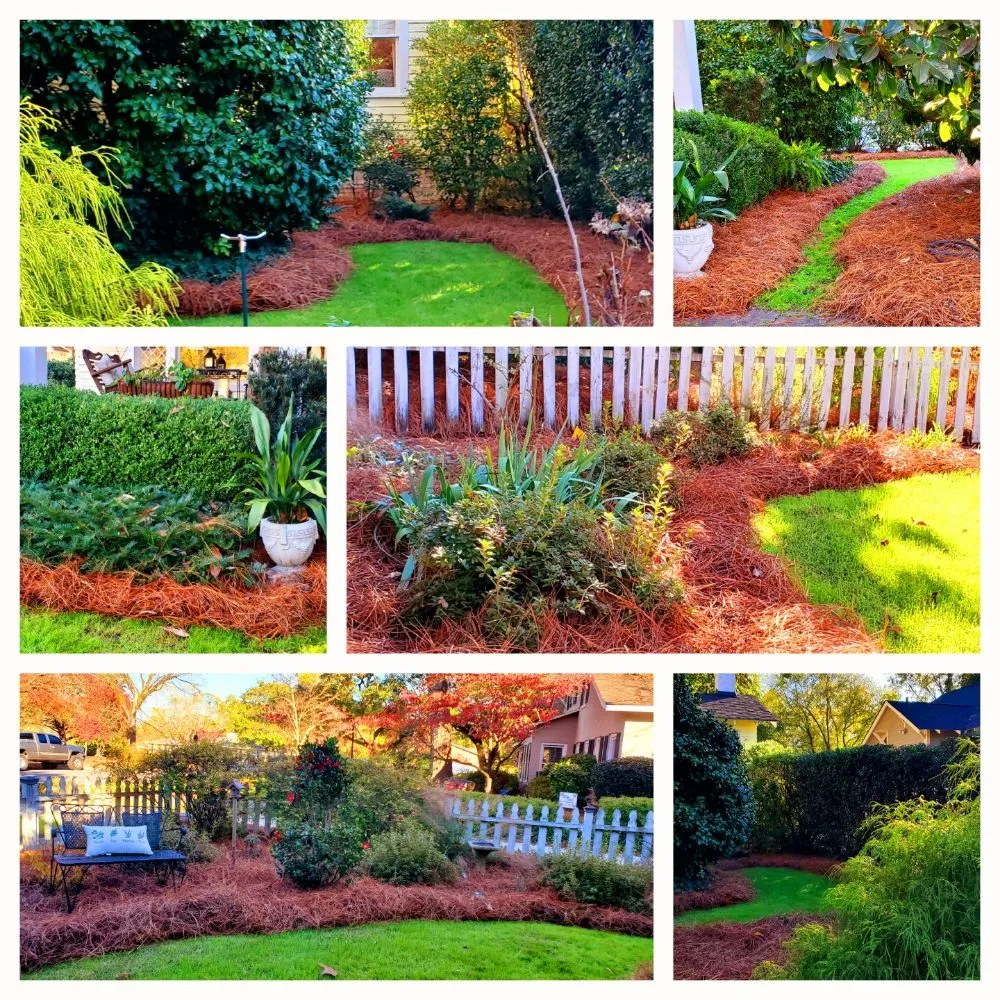 Local landscape design experts serving Camden, SC - Megan's Landscaping & Pest Control
