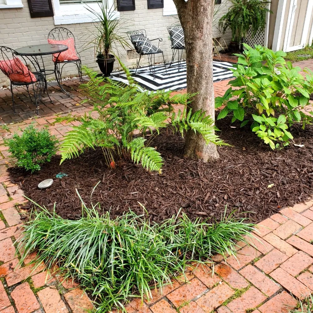 Local outdoor landscaping experts serving Camden, SC - Megan's Landscaping & Pest Control