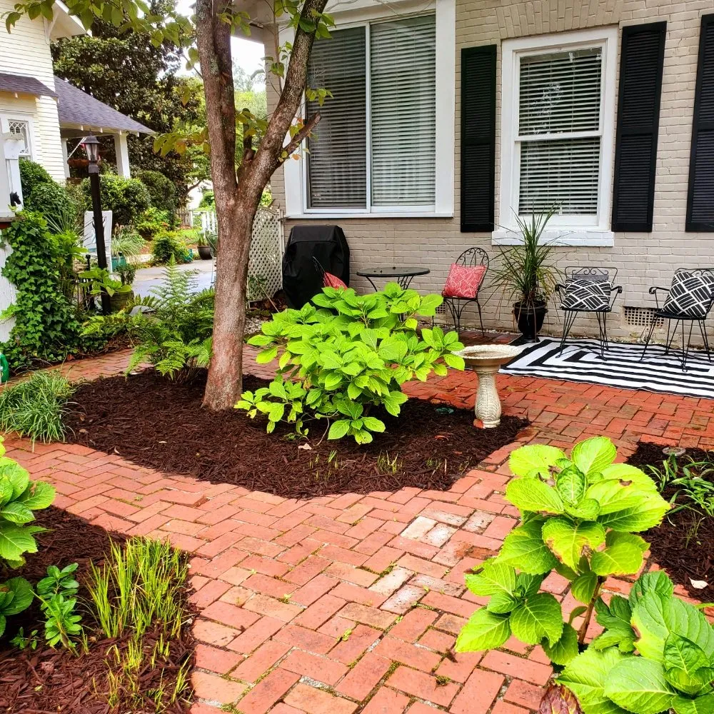 Trusted yard maintenance near you in Camden, SC by Megan's Landscaping & Pest Control