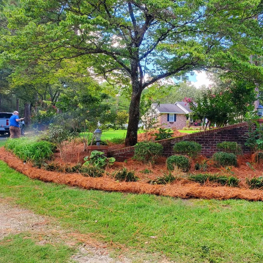 Professional landscaping services for outdoor upgrades across Camden, SC - Megan's Landscaping & Pest Control