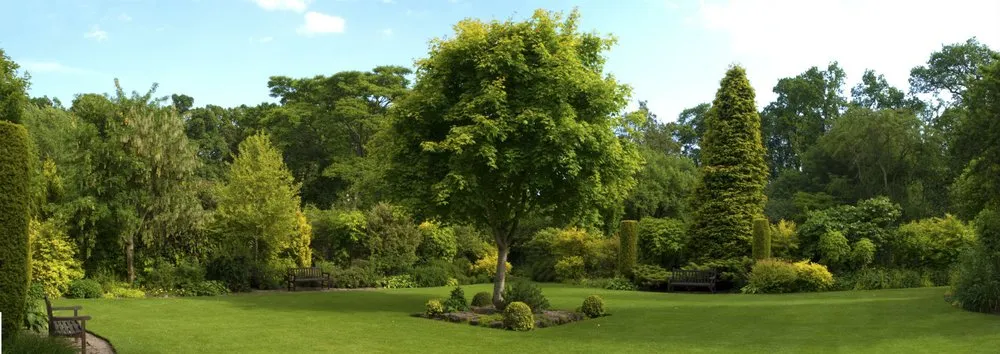 Trusted lawn care service experts serving Oshkosh, WI - Megascapes By Design