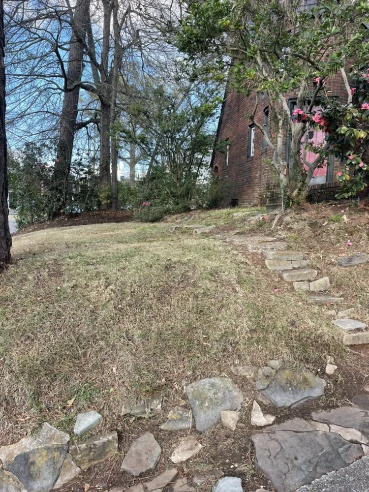 Expert yard maintenance experts serving Northport, AL - Meggs Lawn Care and Property Services