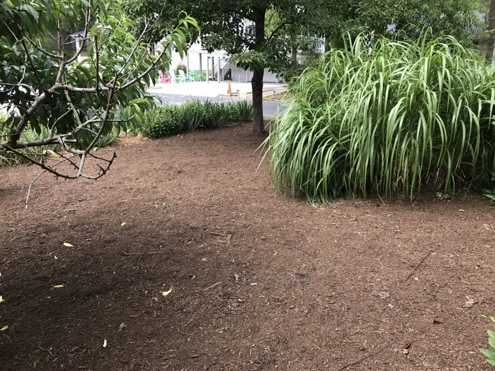 Affordable landscape design in Lewes, DE - Meibaum Landscaping