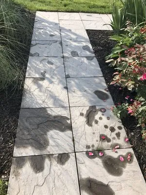 Meibaum Landscaping Logo