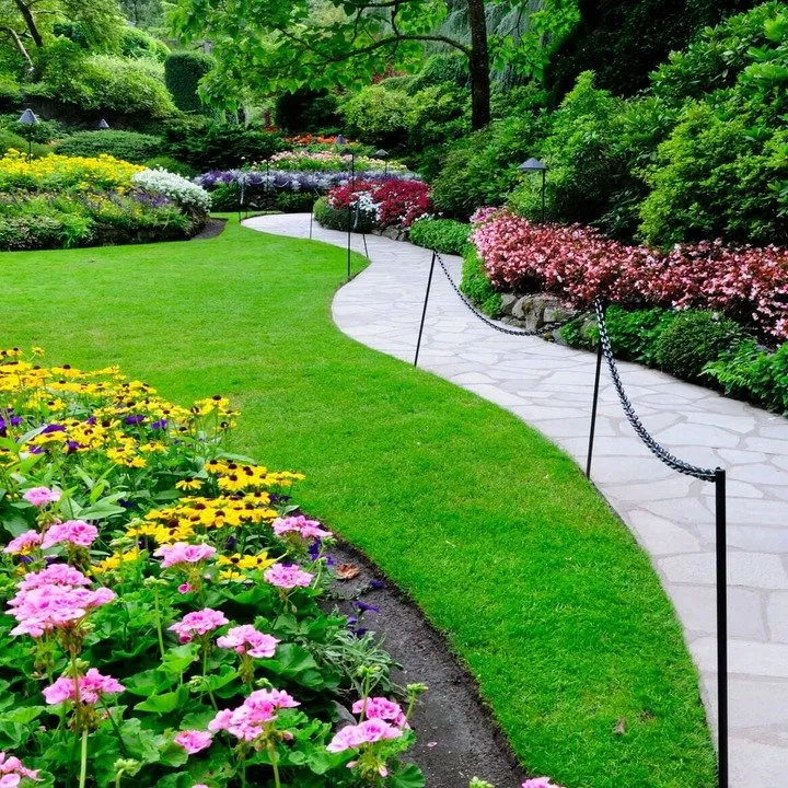 Professional yard cleanup service experts serving Hammond, IN - Meier's Landscaping & Lawn Service