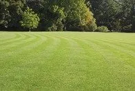 Top-rated lawn mowing service in Hammond, IN - Meier's Landscaping & Lawn Service