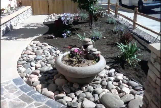 Expert yard cleanup service in El Cajon, CA - Meier's Yard Polishing and Landscape