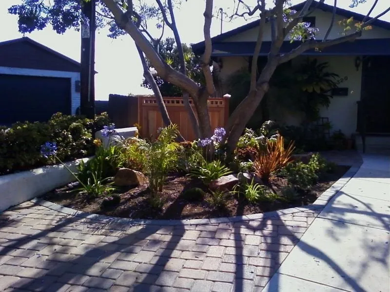 Affordable landscaping services in El Cajon, CA - Meier's Yard Polishing and Landscape