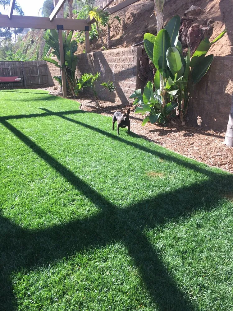 Local yard cleanup service with custom design in El Cajon, CA by Meier's Yard Polishing and Landscape