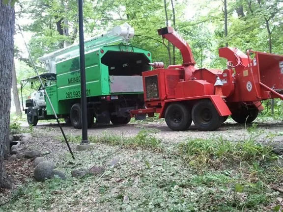Affordable yard maintenance for homes across Waterford, WI - Meinecke Tree And Landscape Services