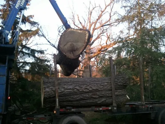 Reliable lawn mowing service for homes in Waterford, WI by Meinecke Tree And Landscape Services