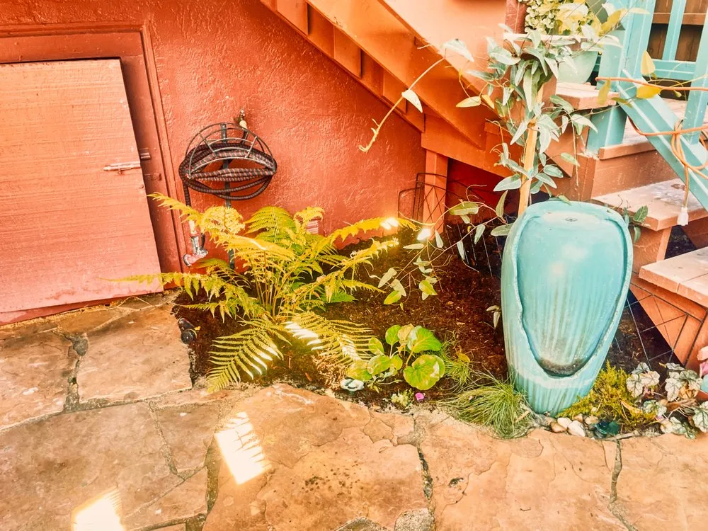 Top-rated lawn care service in San Francisco, CA by Mejia Landscaping - San Francisco