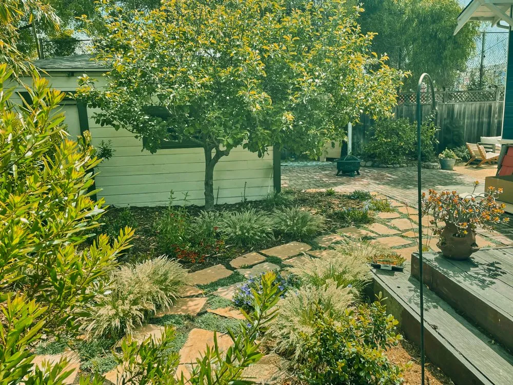 Top-rated lawn mowing service in San Francisco, CA - Mejia Landscaping - San Francisco