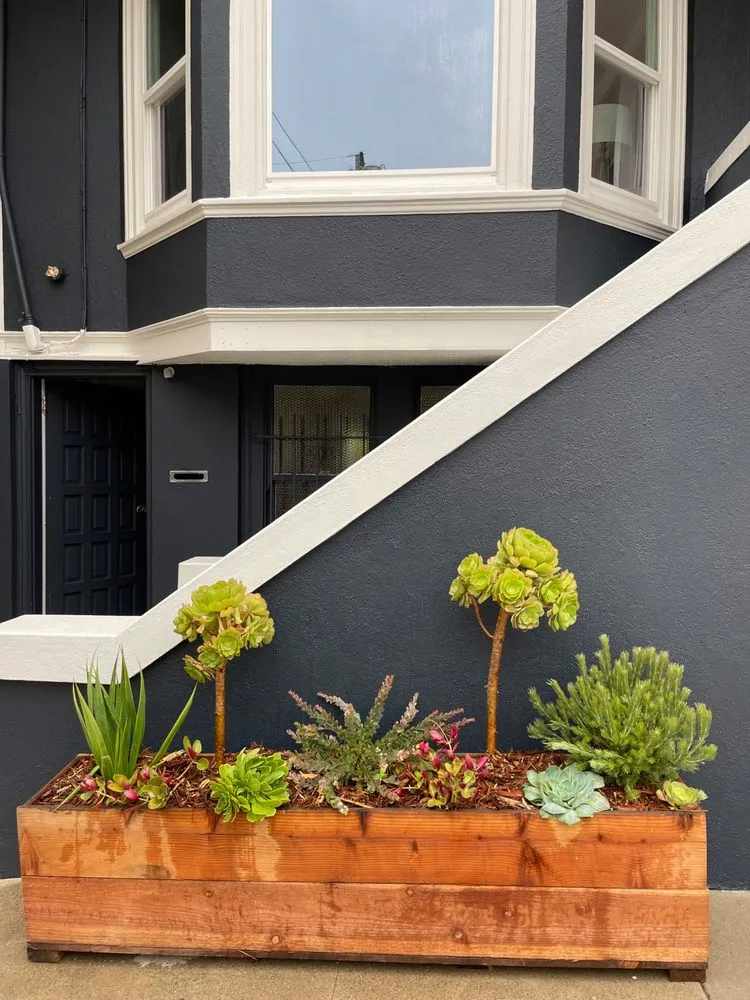 Reliable landscaping services for homes across San Francisco, CA - Mejia Landscaping - San Francisco