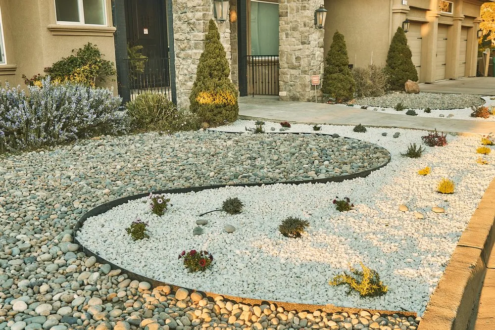 Local yard maintenance in San Francisco, CA by Mejia Landscaping - San Francisco
