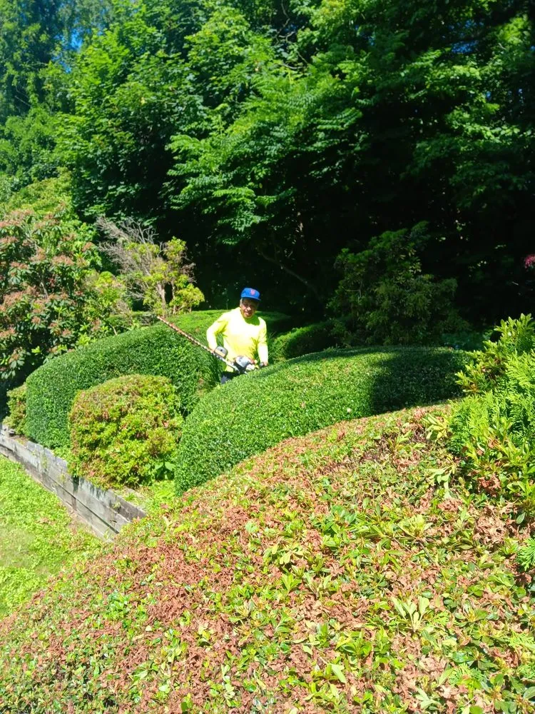 Professional outdoor landscaping for homes in Port Washington, NY by Mejia Landscaping & Maintenance