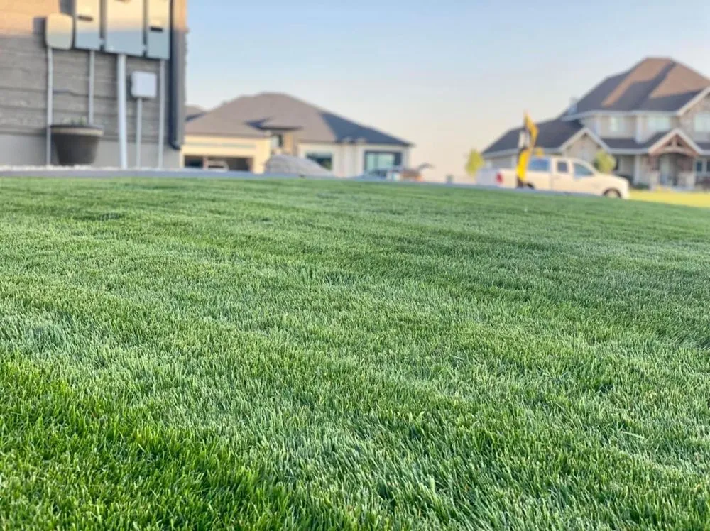 Expert garden landscaping in Huntsville, TX by Mejia Landscaping and Lawn Service