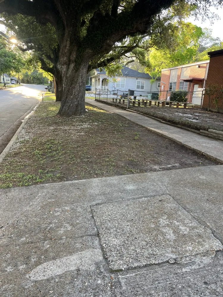 Top-rated yard cleanup service for beautiful yards in Huntsville, TX by Mejia Landscaping and Lawn Service