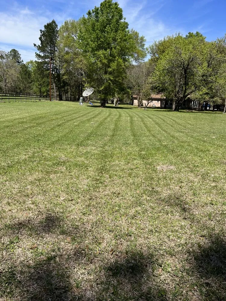 Professional landscape design in Huntsville, TX - Mejia Landscaping and Lawn Service