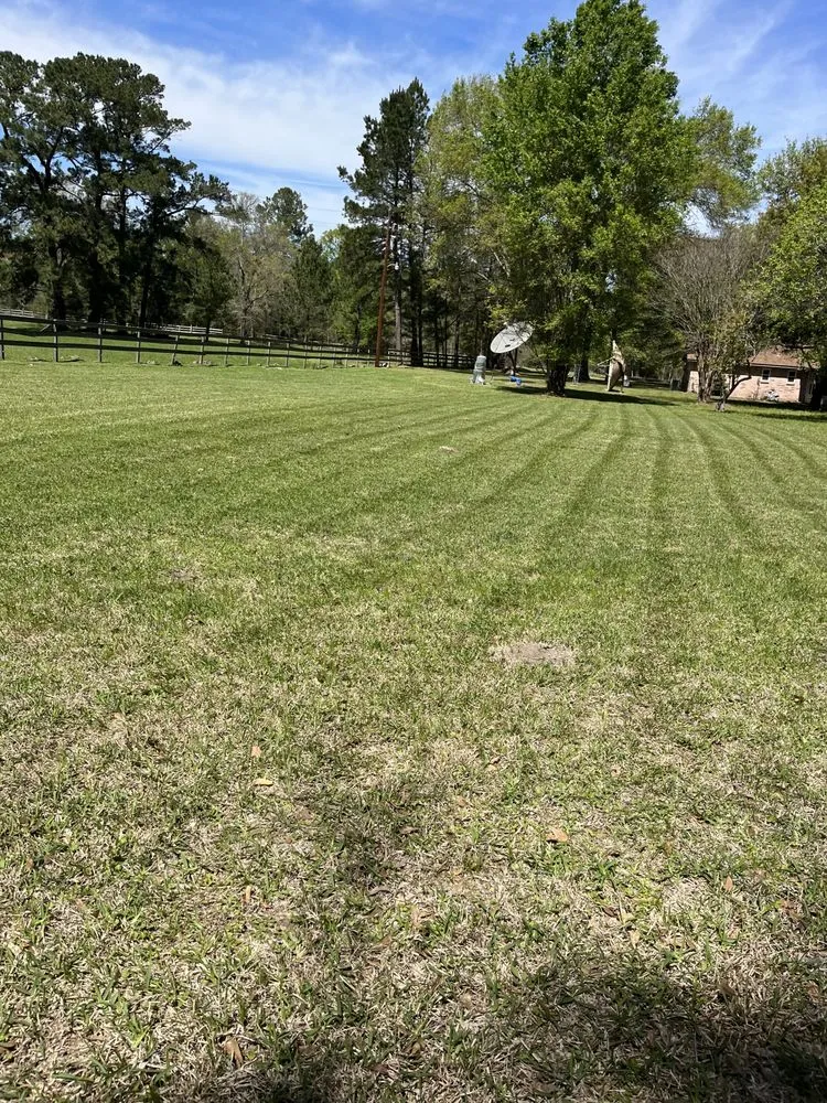 Top-rated landscaping services in Huntsville, TX by Mejia Landscaping and Lawn Service