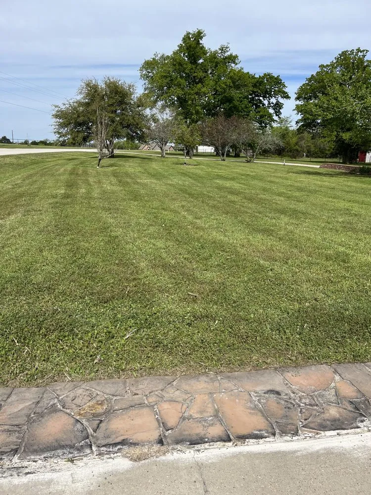 Trusted lawn care service near you in Huntsville, TX by Mejia Landscaping and Lawn Service