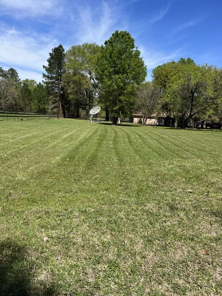 Expert yard cleanup service experts serving Huntsville, TX - Mejia Landscaping and Lawn Service