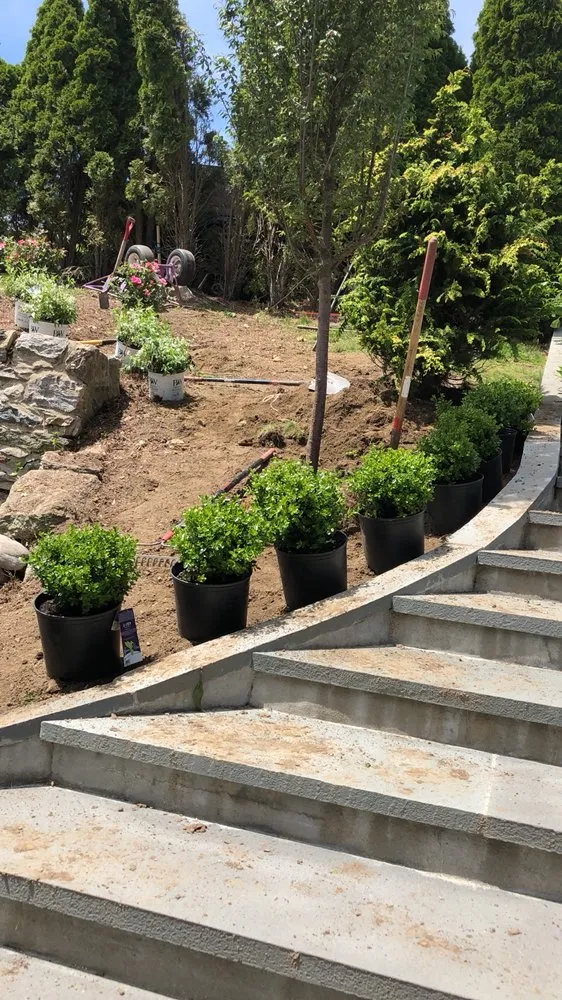 Reliable landscaping services in Bridgeport, CT by Mejia Landscaping