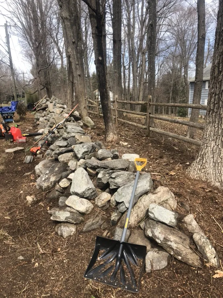 Expert yard cleanup service in Bridgeport, CT by Mejia Landscaping