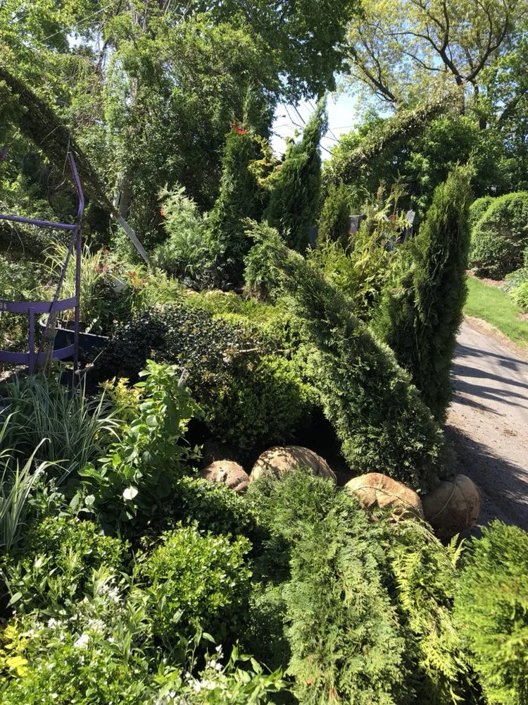 Professional lawn care service experts serving Bridgeport, CT - Mejia Landscaping